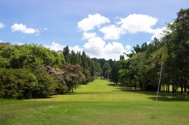 Campo de Golfe