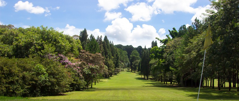 Campo de Golfe