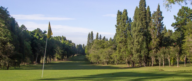 Campo de Golfe